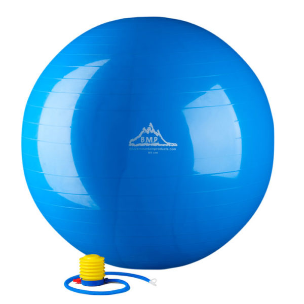 2000 Lbs. Static Strength Stability Ball with Pump - Blue