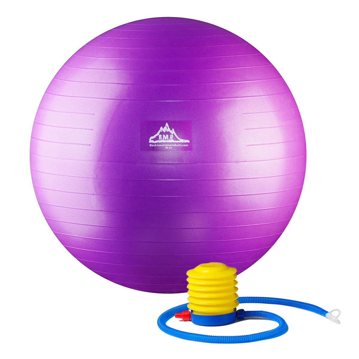 Professional Grade Stability Ball - Black Mountain Products