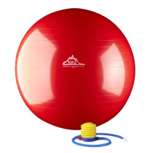 2000 Lbs. Static Strength Stability Ball with Pump - Red