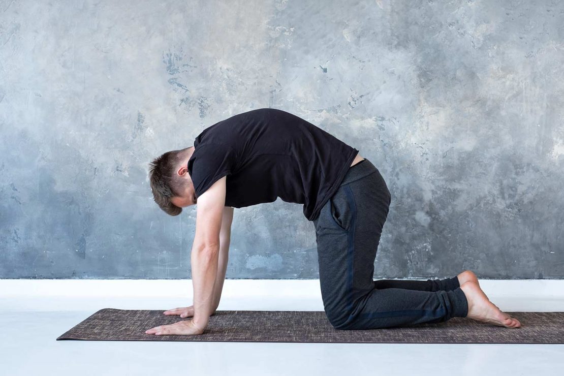 Cat And Cow Pose Yoga